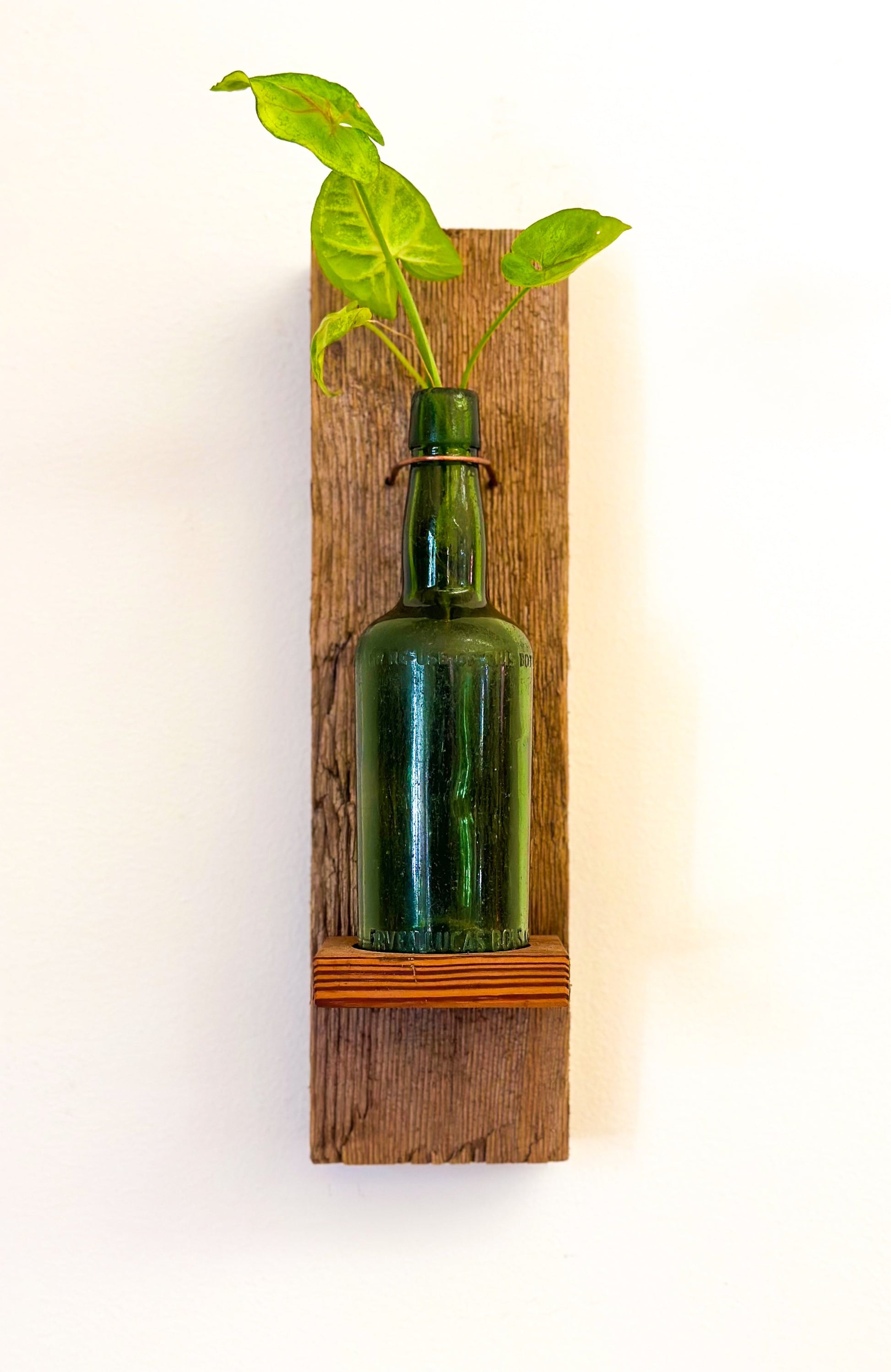 pine board, hand hammered copper ring around the neck of a green bottle 